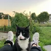 ralfinchen_