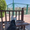 adham_sharqawi34