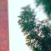 r_a_f_a.181311