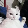 _....................._i