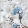 autumnview906