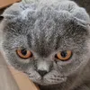 amongusguy18