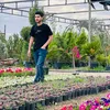 aram.sharafany1