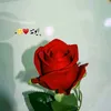a_ayat_09