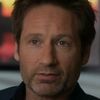 hankmoody3379