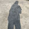 aulll97_