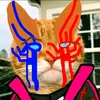 paaulnocounter1