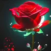 lena_33_1