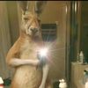 dennis_www