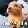 esocepillin