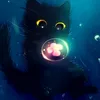 blackcat_2001