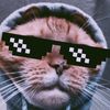kevin_35gg2