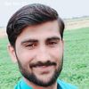 javeedali1774