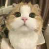 nvkn_01