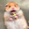 chippy.and.piattos