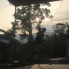 xuanbac281