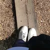 soicailzq