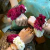 imranraza7255