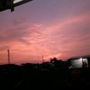 evifitri224