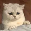 everywheresleepy