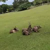 monkeydgarp1122