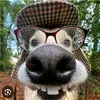 _kaiser0010