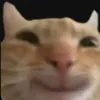reinju