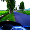 busanajaya