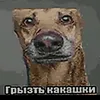 napas_94