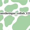 aesthetique_collab_125