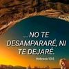 lopezgrace73