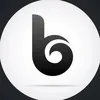 bips02025