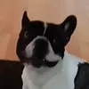 minas_ko