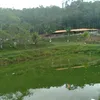 sheilalima3900