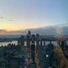marty_pelle1