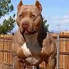 walter.mabonga1