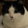 m1sswendy