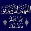 amalsabry829