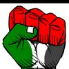 mourad.meddah0