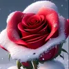 malakislam94