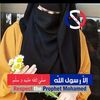 alaamohamed6208