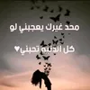 zz_n21