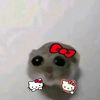 sowzzz_zzzzzz