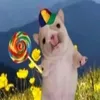 nanacomedoradrato