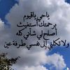 miessaahmed1995