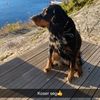 maryloumari