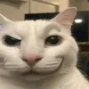 de_s4ndishh