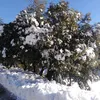 nezhanezha3751