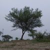 huseen_911