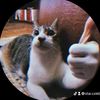 star.cxleb